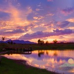 Pond
